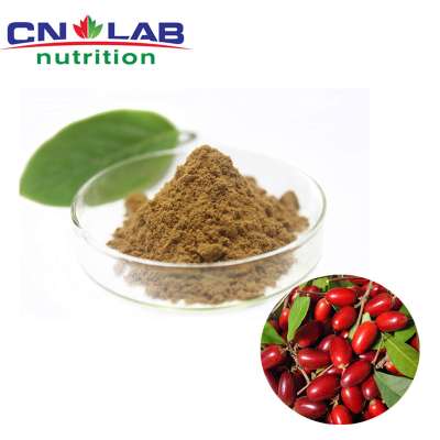 Best Quality Fresh Miracle Berry Extract Powder / Freeze Dried Miracle Fruit Powder