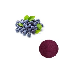 100% Natural Purple Red Organic Acai Berry Extract Powder