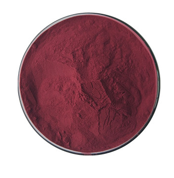 CNLAB supply high quality acai berry extract powder