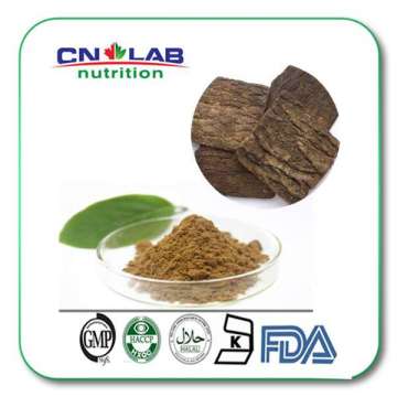 High quality raw material eucommia ulmoides/cortex eucommiae/eucommiaceae extract